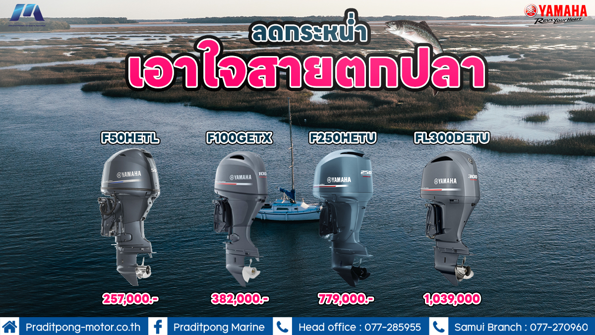 เอาใจสายตกปลา